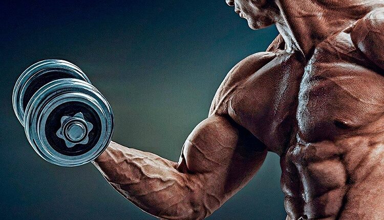 Deca Durabolin- The Most Popular Steroid You Can Hear For